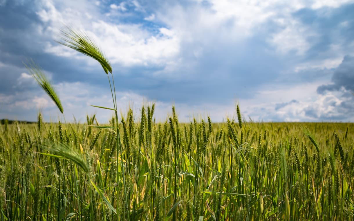 Productos agrarios la Unión