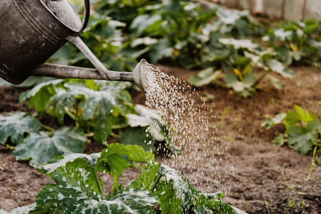 Derecho al agua en la agricultura