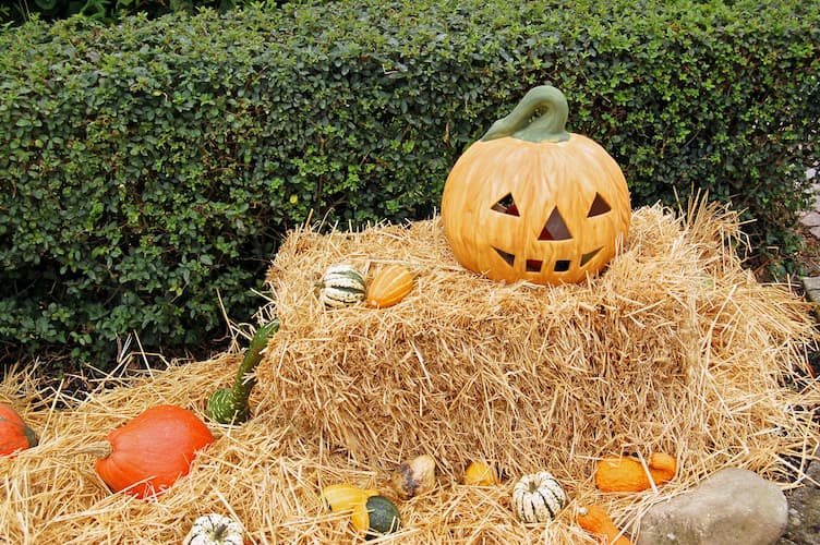 Cosechas de Halloween