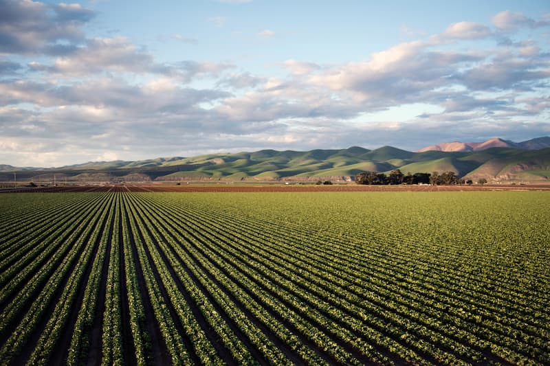 servicios agrarios la union